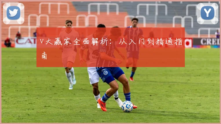 v大赢家全面解析：从入门到精通指南