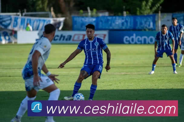 新爱体育百科平台生态图